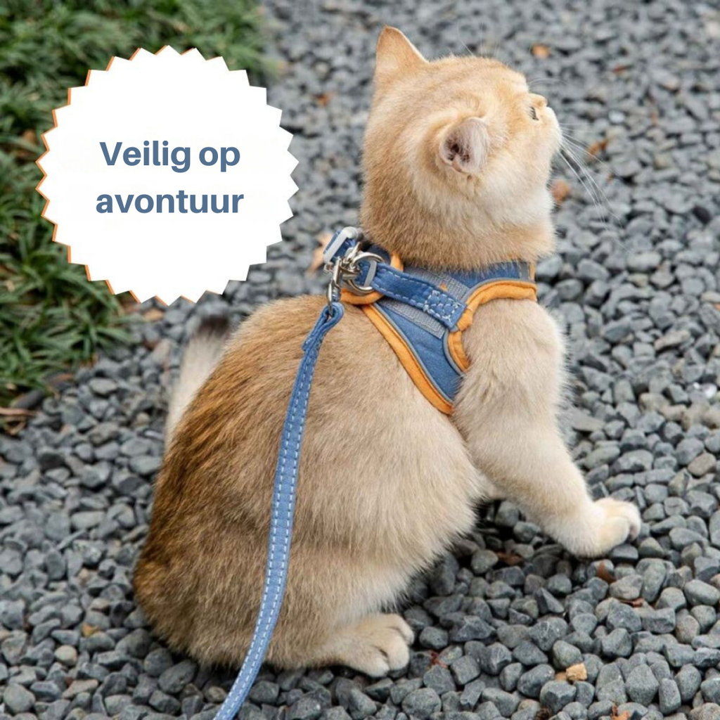 Oscar Cat Harness – Escape-Proof & Adjustable