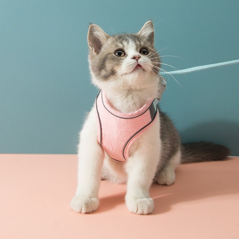 Oscar Cat Harness – Escape-Proof & Adjustable