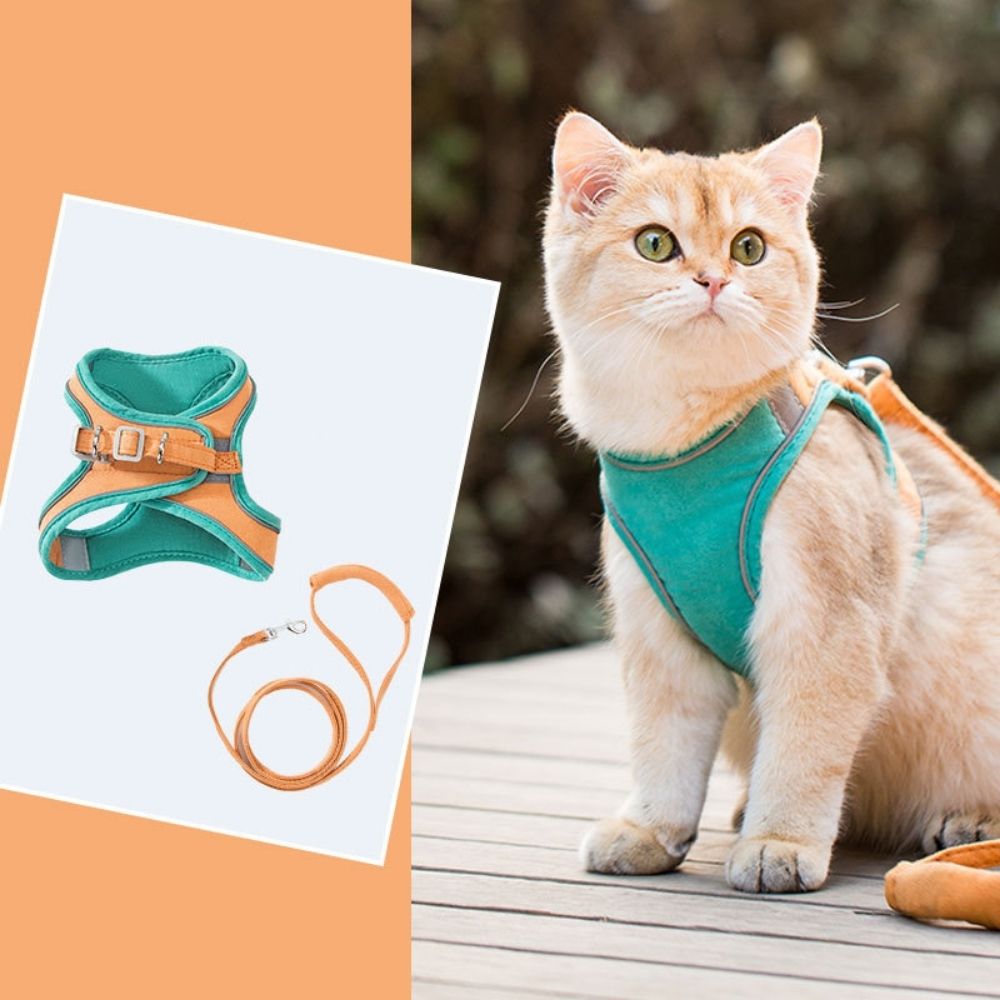 Oscar Cat Harness – Escape-Proof & Adjustable