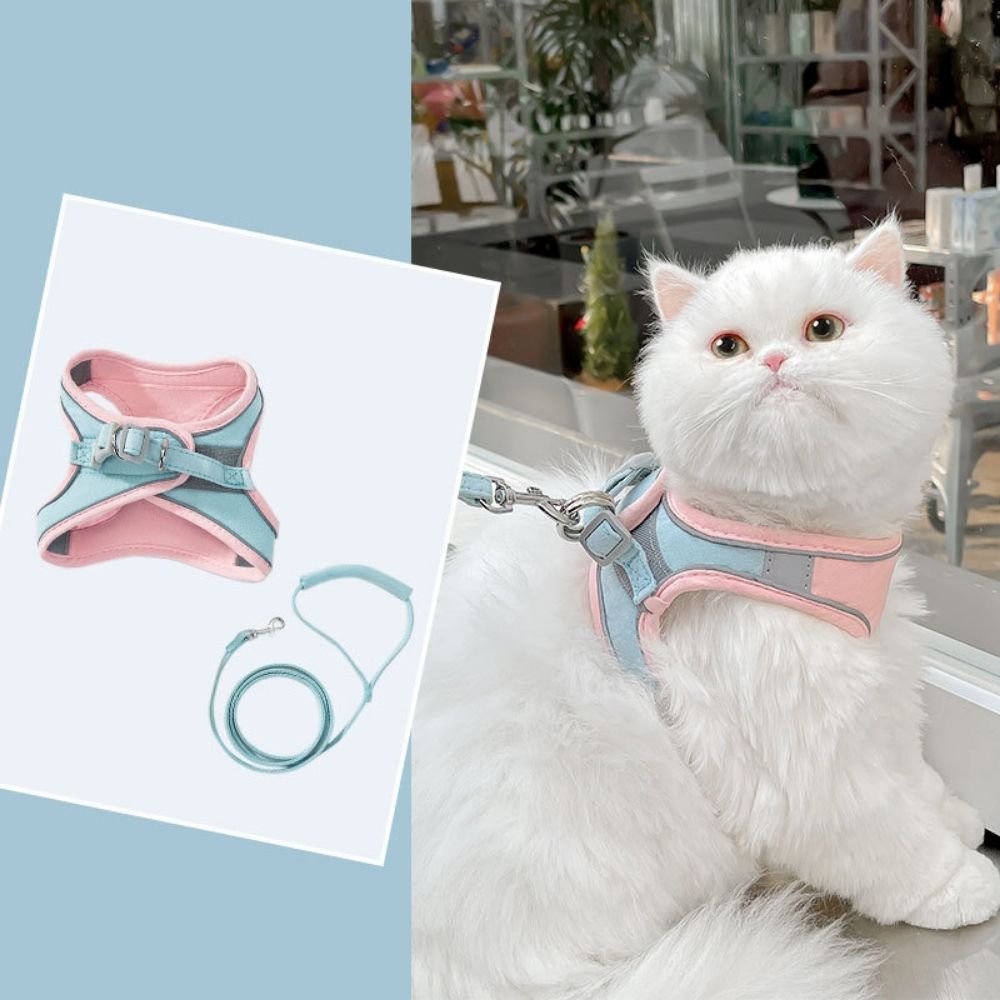 Oscar Cat Harness – Escape-Proof & Adjustable