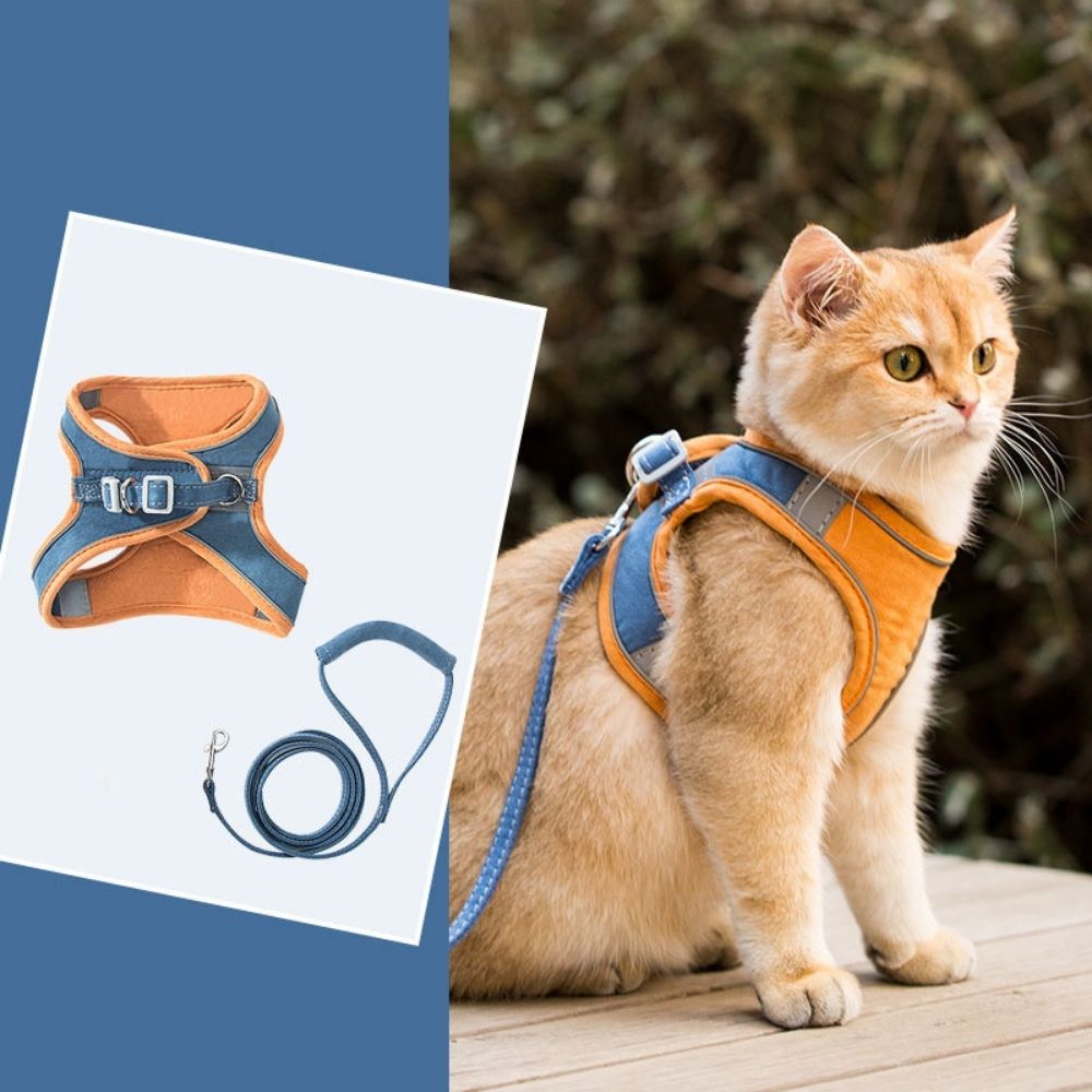 Oscar Cat Harness – Escape-Proof & Adjustable
