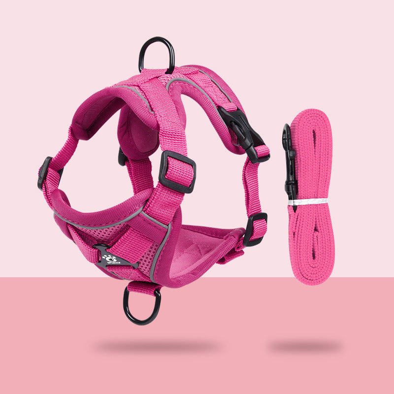 Padded Dog Harness for Large Dogs