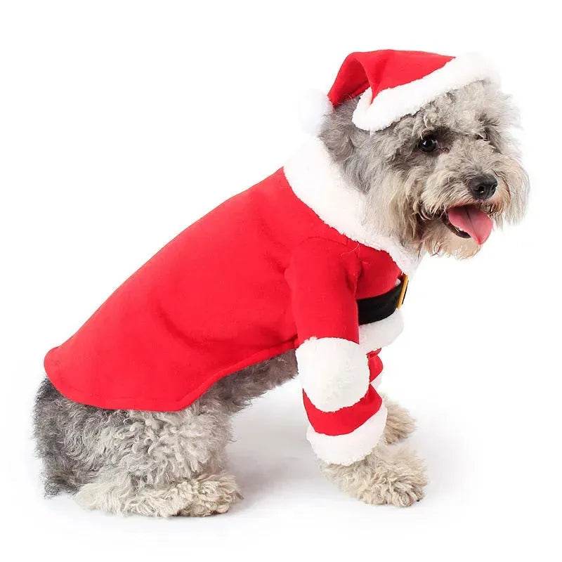 Pet Christmas Santa Claus Standing Costume