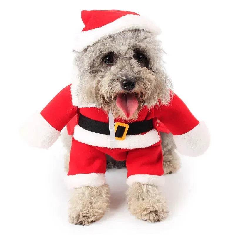 Pet Christmas Santa Claus Standing Costume