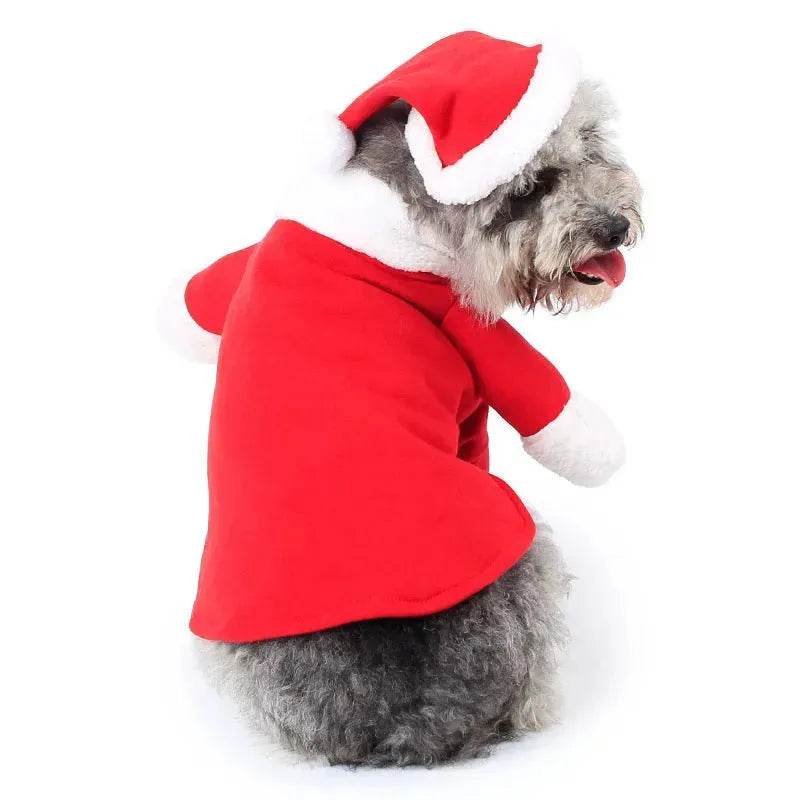 Pet Christmas Santa Claus Standing Costume