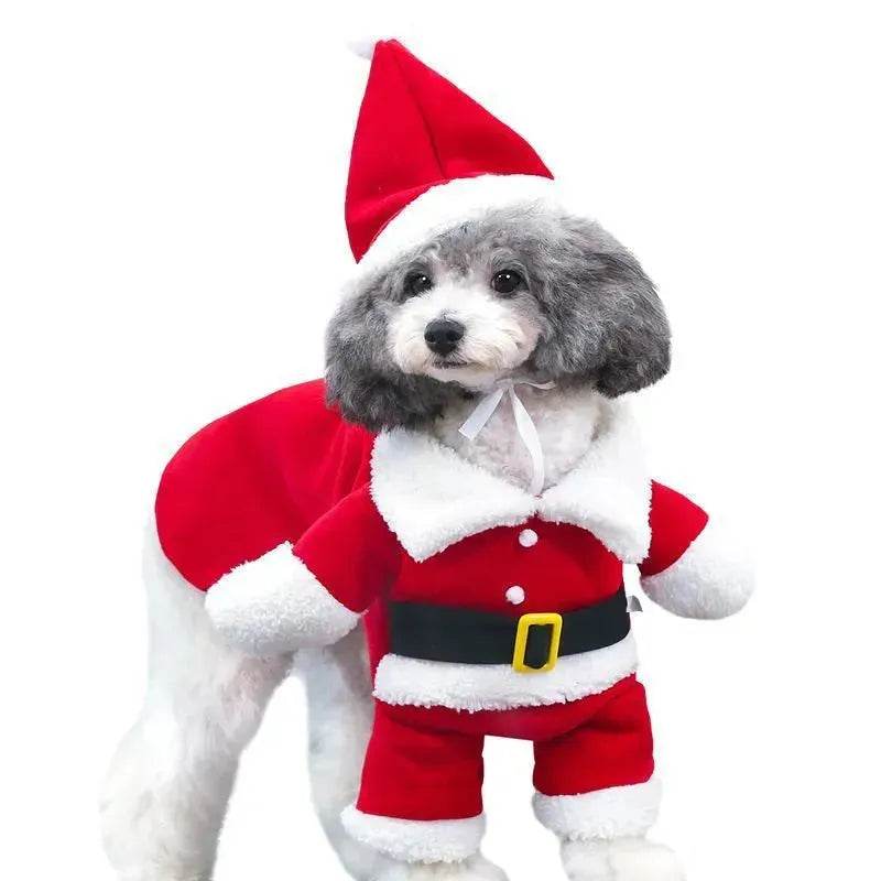 Pet Christmas Santa Claus Standing Costume