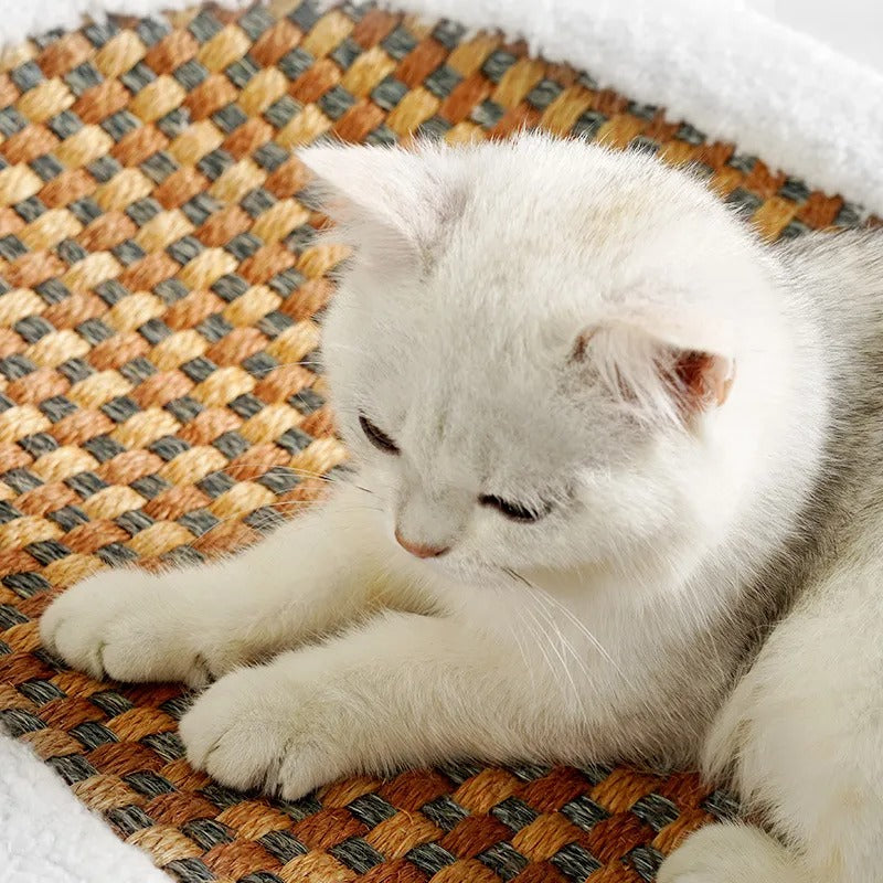 Premium Cat Bed with Built-In Scratching Board