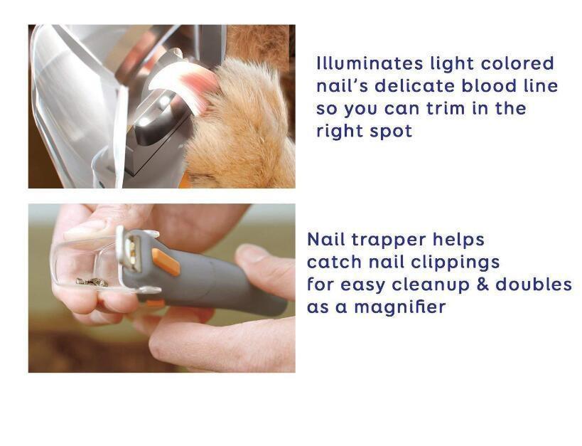Professional Dog Nail Clippers with LED Light