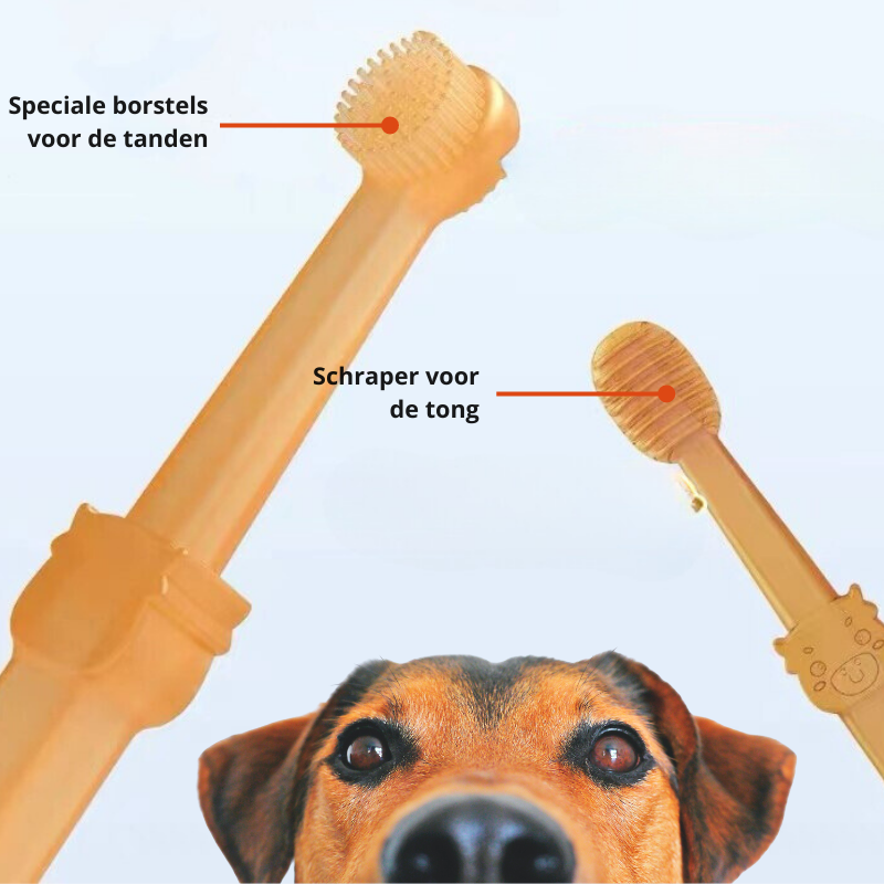 Professional Dog Toothbrush
