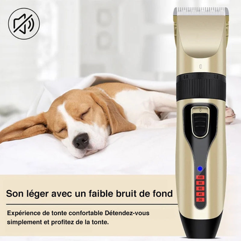 Professional pet grooming kit with quiet motor and ceramic blades