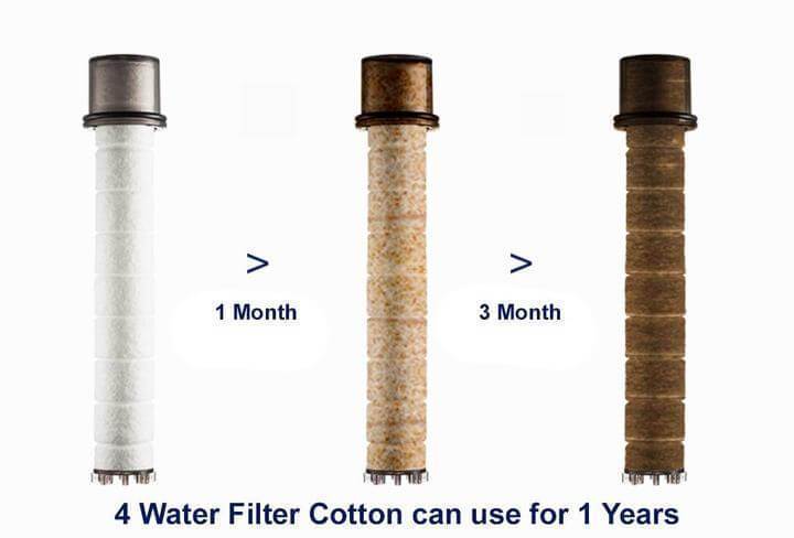 Purifying Shower Head Filter
