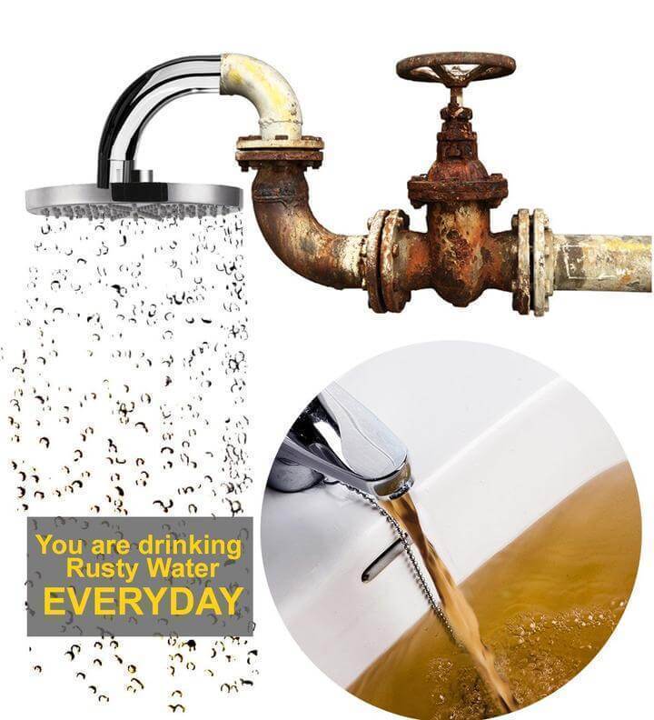 Purifying Shower Head Filter