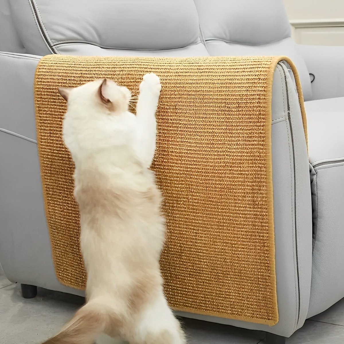 ScratchJoy Modern Cat Scratching Post for Claw Care & Play