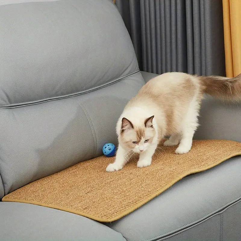 ScratchJoy Modern Cat Scratching Post for Claw Care & Play