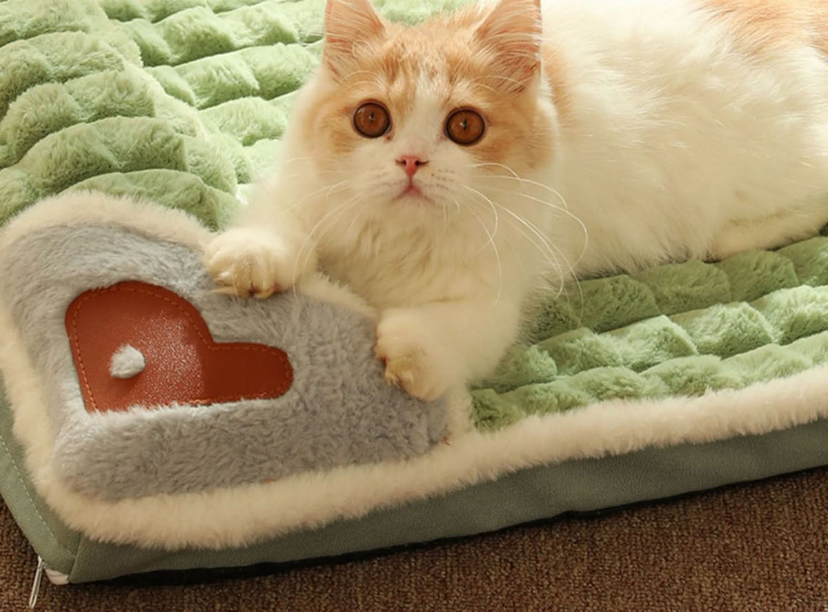 Soft plush dog bed for small & medium dogs