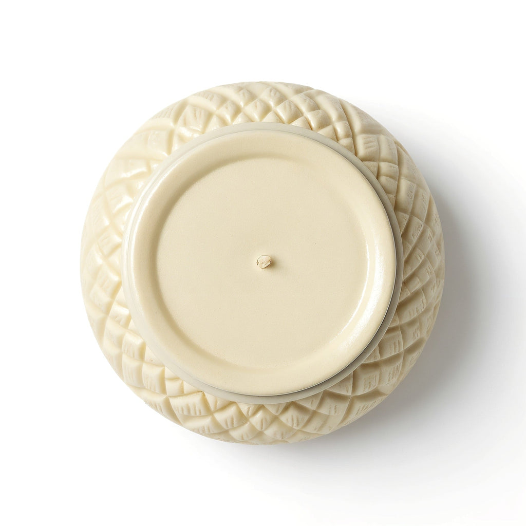 SHOPAVERLY Vanilla Coconut Soy Candle - Ivory Jar with Coconut Texture
