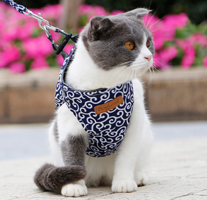 Stylish Cat Harness with Matching Leash – Comfortable, Adjustable Fit for Cats and Kittens