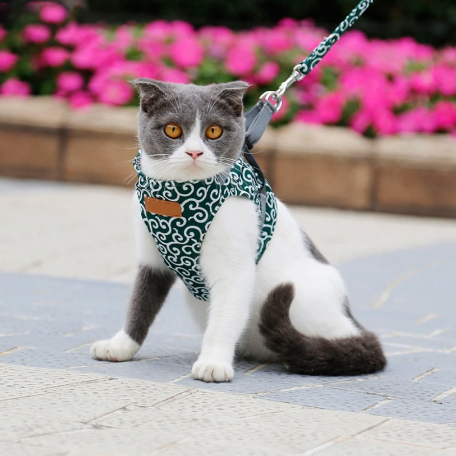 Stylish Cat Harness with Matching Leash – Comfortable, Adjustable Fit for Cats and Kittens