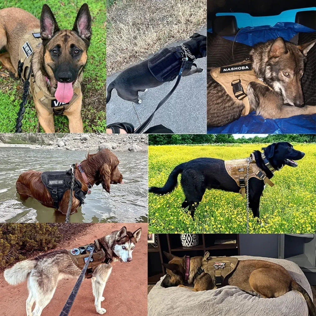 Tactical Dog Harness with Handle, Quick-Release Buckles, and MOLLE Straps – Padded, No-Pull Design, Available in Set wit