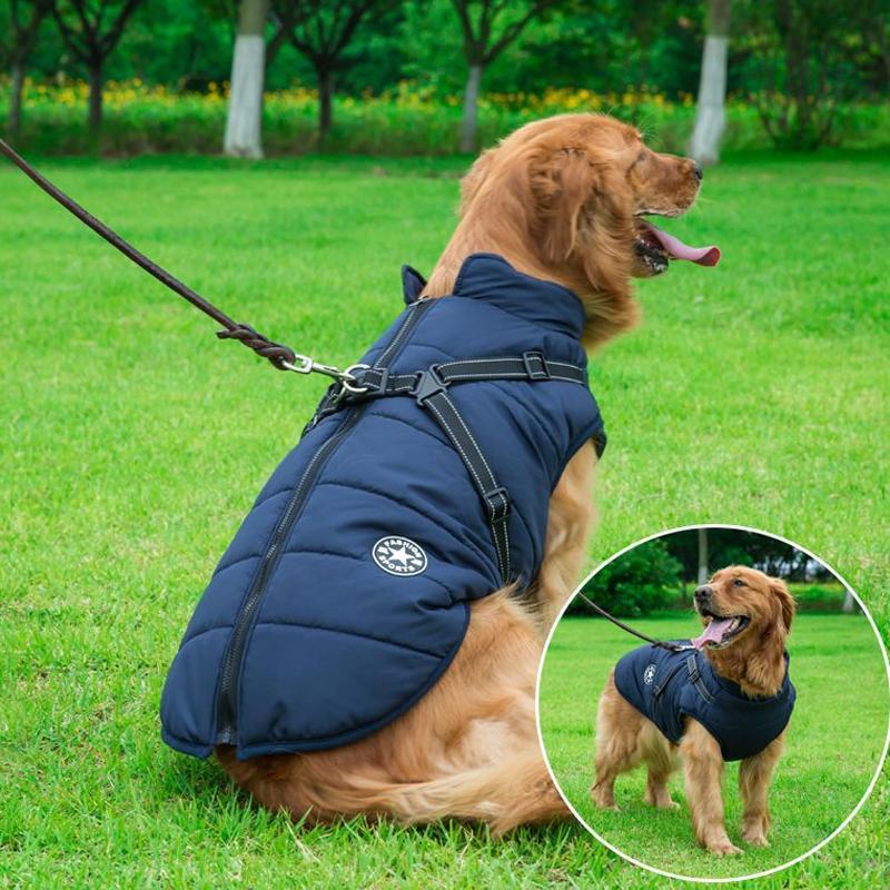 Zippered Winter Dog Coat with Harness