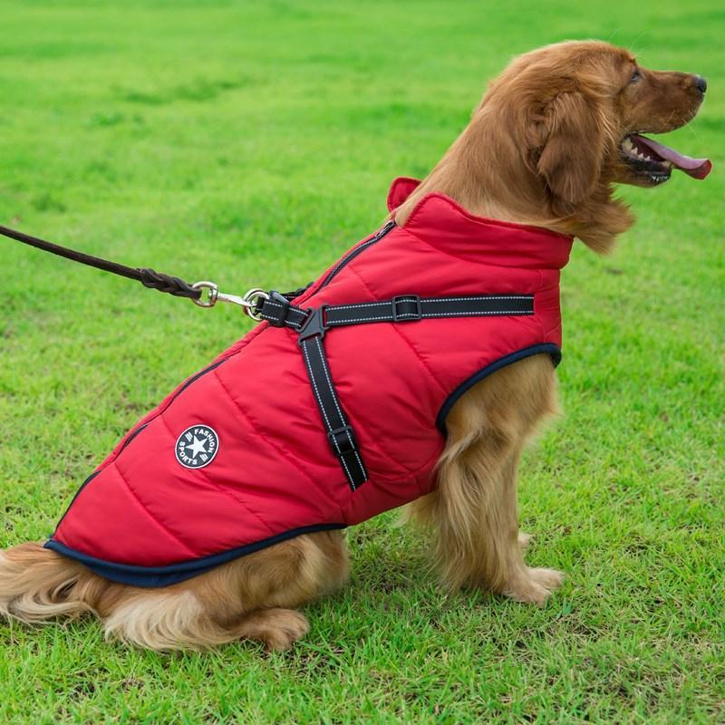 Zippered Winter Dog Coat with Harness
