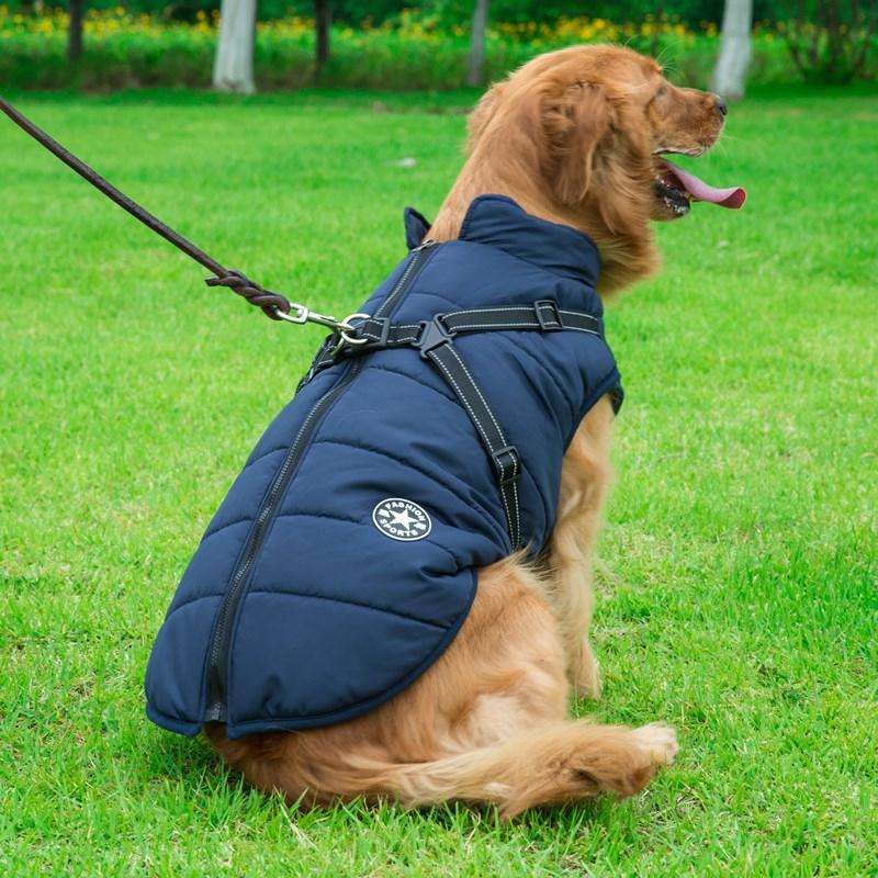 Zippered Winter Dog Coat with Harness