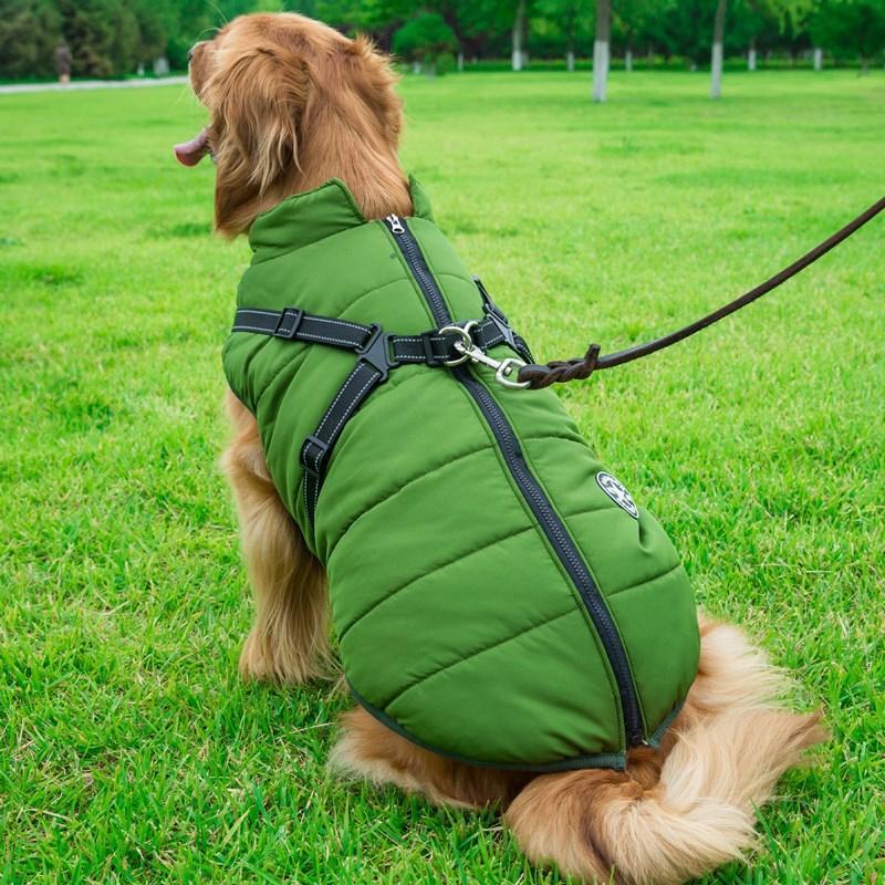 Zippered Winter Dog Coat with Harness