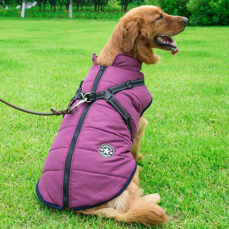 Zippered Winter Dog Coat with Harness