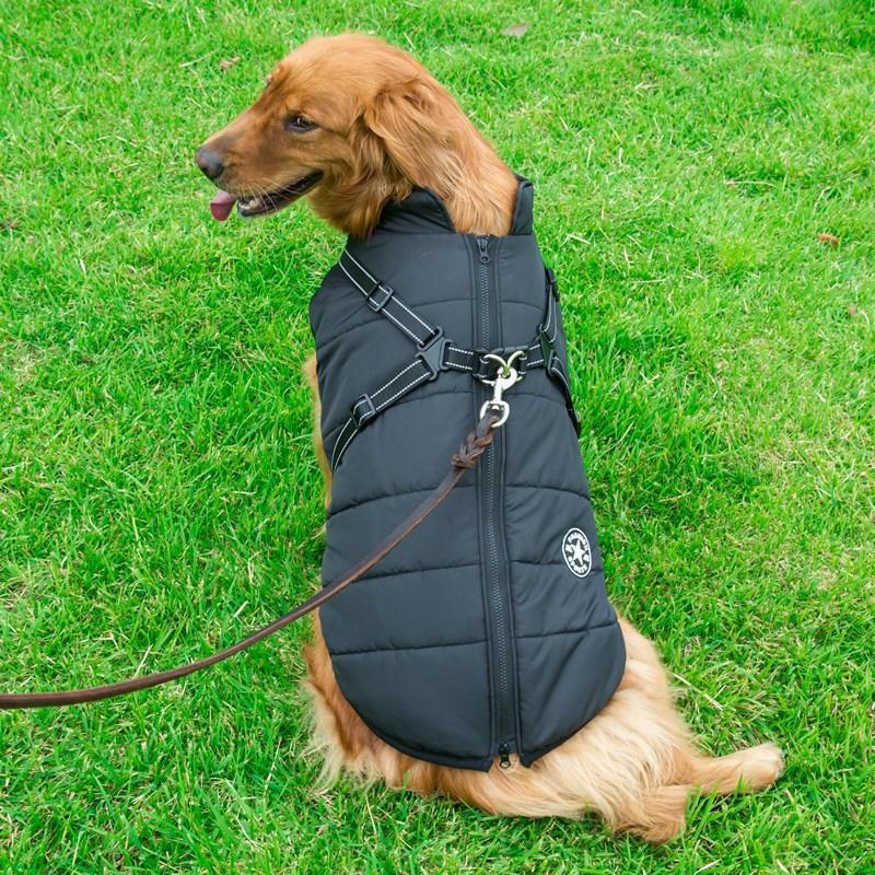 Zippered Winter Dog Coat with Harness